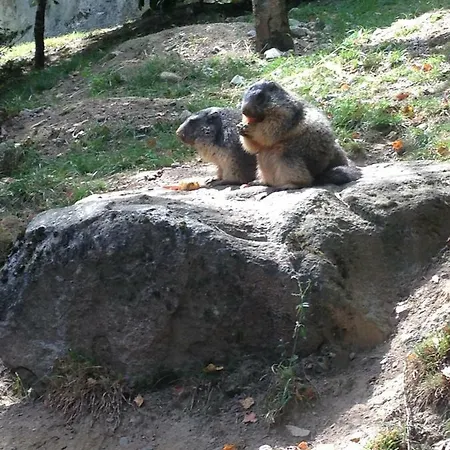 In Pyrenees National Park アパート *